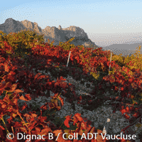 Les Dentelles de Montmirail en Provence